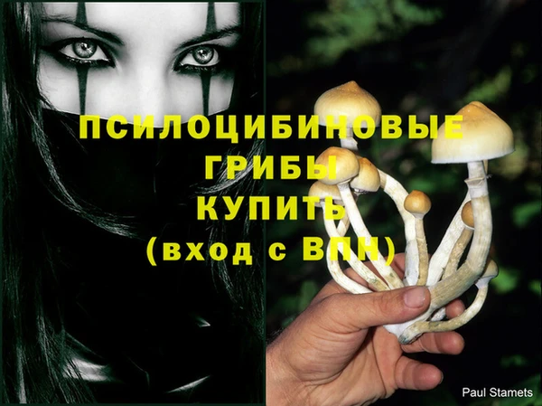 марки lsd Няндома