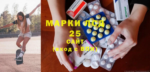шишки Новодвинск
